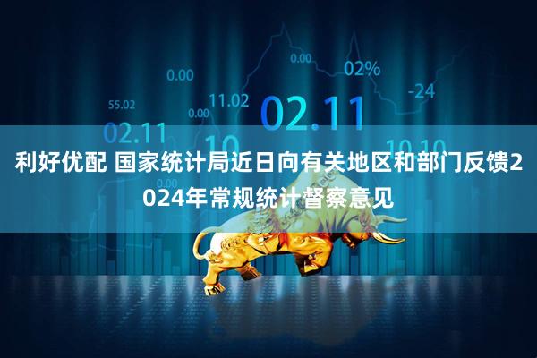 利好优配 国家统计局近日向有关地区和部门反馈2024年常规统计督察意见