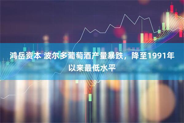 鸿岳资本 波尔多葡萄酒产量暴跌，降至1991年以来最低水平