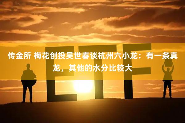 传金所 梅花创投吴世春谈杭州六小龙：有一条真龙，其他的水分比较大