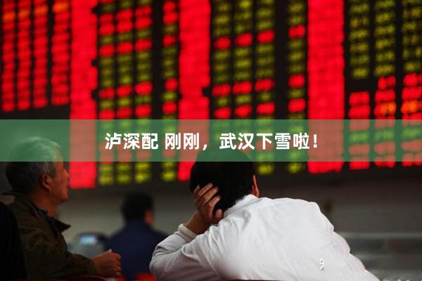 泸深配 刚刚,武汉下雪啦!