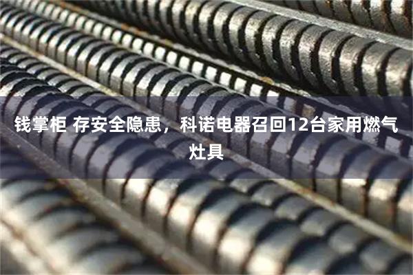 钱掌柜 存安全隐患,科诺电器召回12台家用燃气灶具