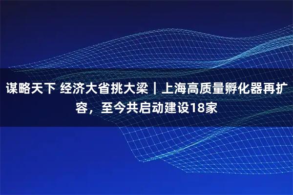 谋略天下 经济大省挑大梁|上海高质量孵化器再扩容,至今共启动建设18家