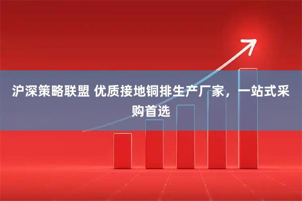 沪深策略联盟 优质接地铜排生产厂家，一站式采购首选