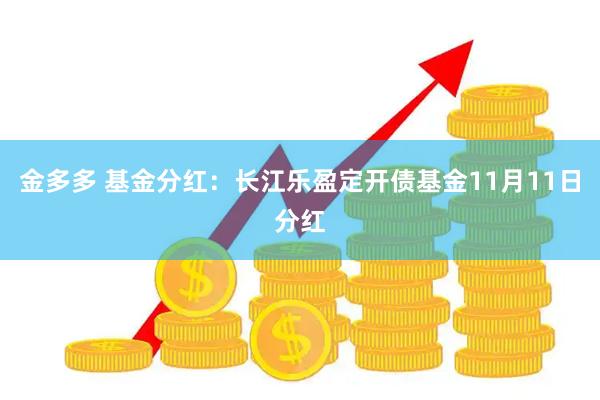 金多多 基金分红：长江乐盈定开债基金11月11日分红